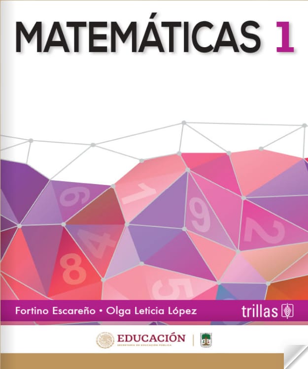 zona revisión esquema Matemáticas 1 - Primer Grado - Secundaria | Libros Conaliteg